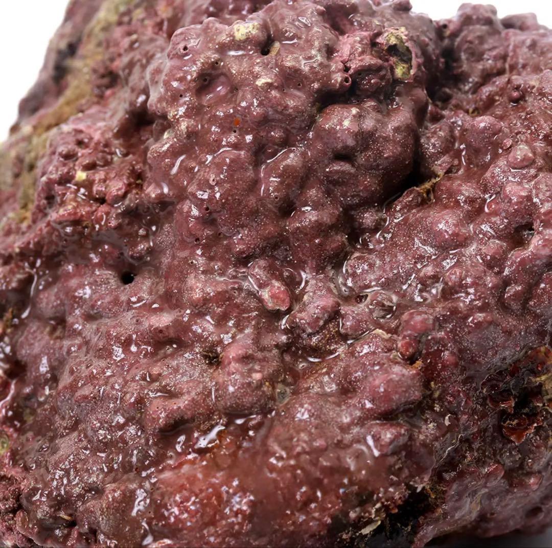 ライブロック EXSグレード レッドロック 30cm水槽用形状はコメントで要相談