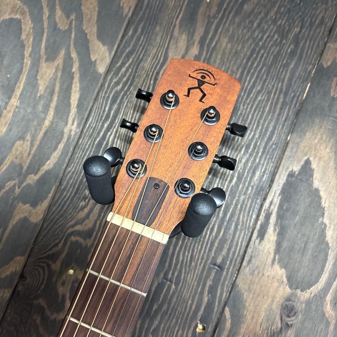 aNueNueアコースティックギター