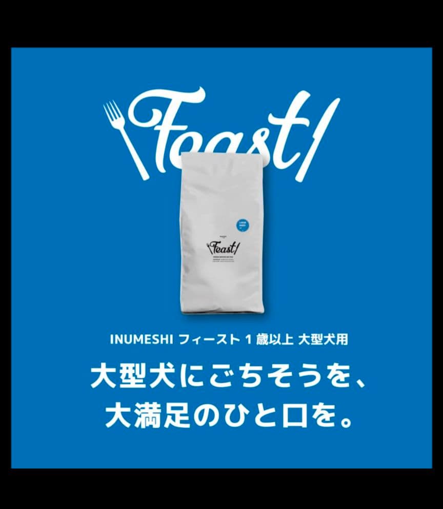 INUMESHIフィースト 1才以上 大型犬用 大粒 15kg ブリーダーパック