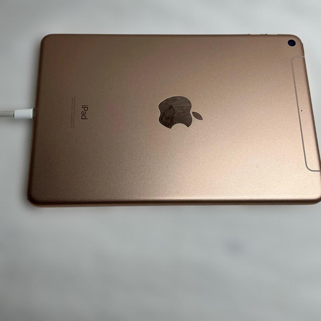 maybさん専用　超美品iPad Mini 第5世代本体+ケイブル＋充電器＋箱付