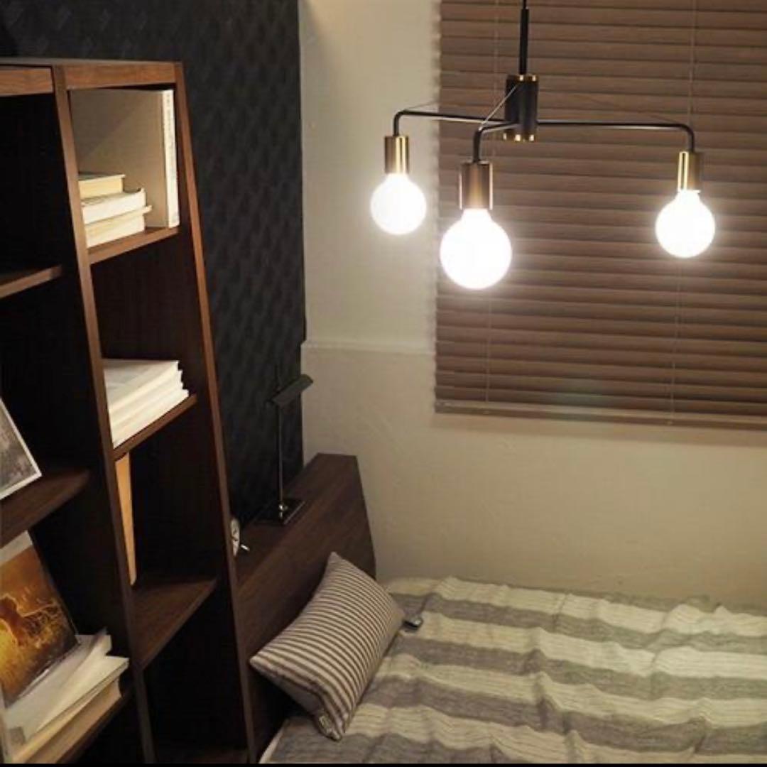 【限定】DE CLASSE ディクラッセ Treno トレノ ペンダントランプ