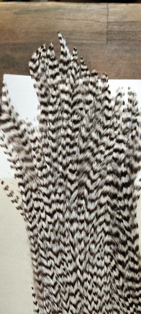 METZグリズリー＆Spencer’s Hacklesセット フライ用ハックル