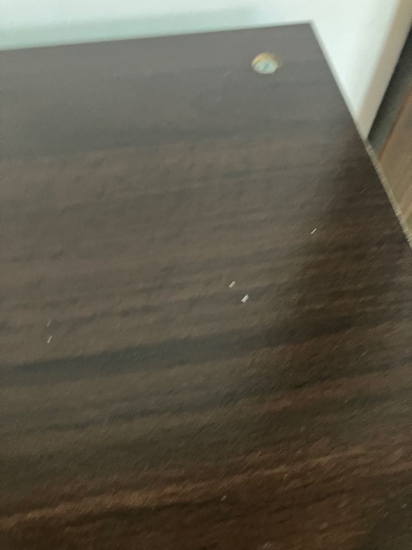 不二貿易　コレクションケース