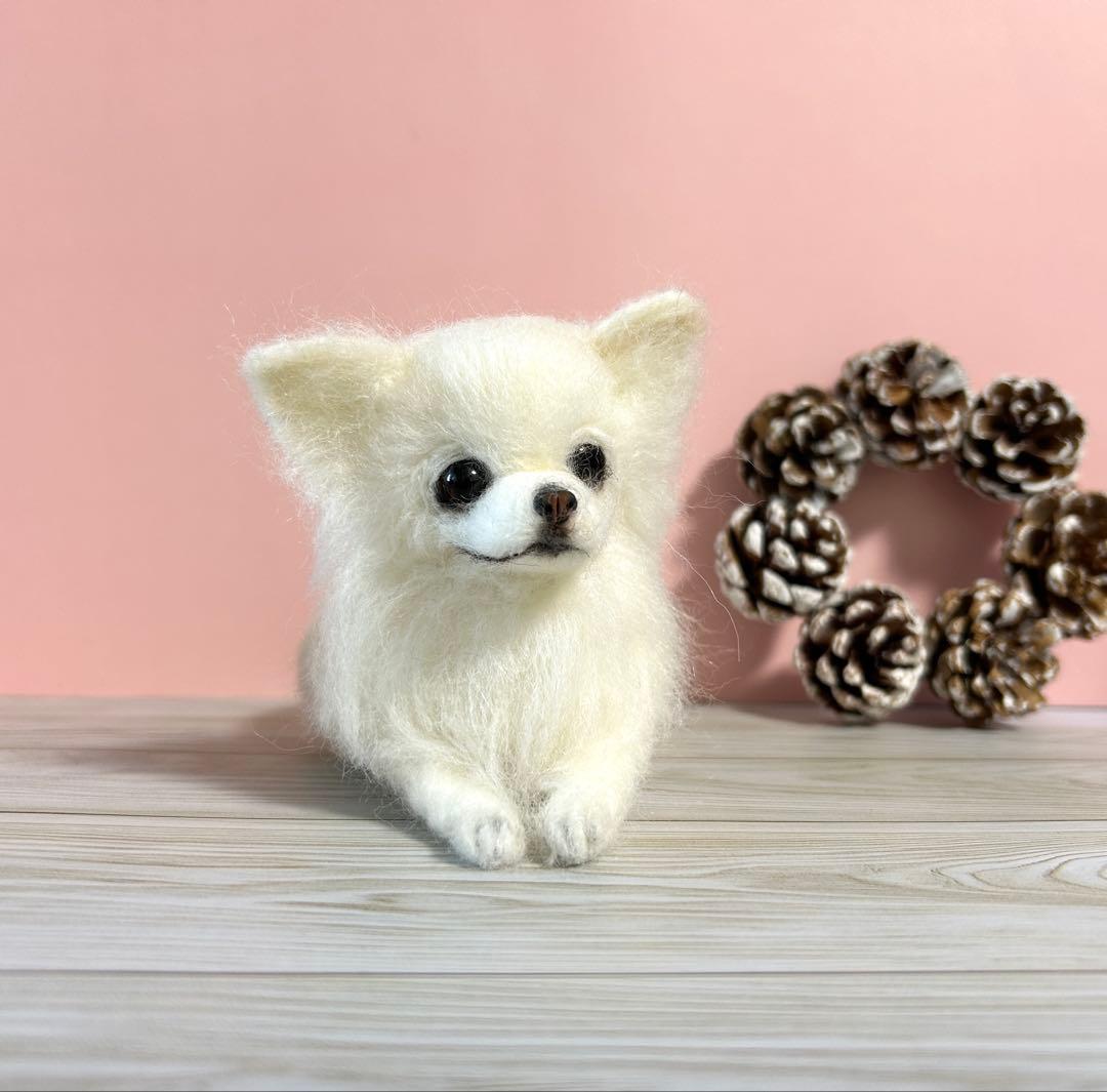 羊毛フェルト　おっとり顔のチワワちゃんno.29