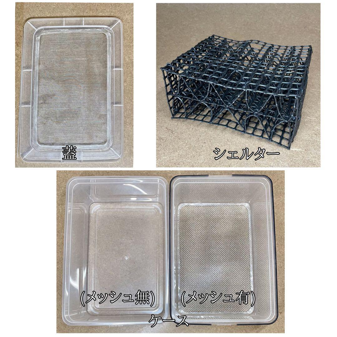 遊戯王初期お宝売ります様　S(フル)