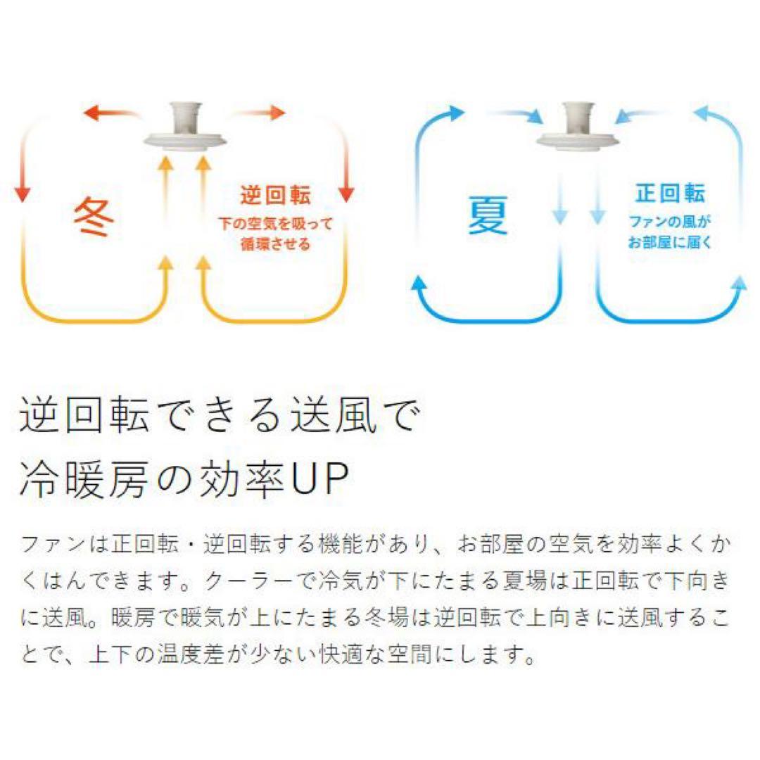 新品 DOSHISHA ドウシシャ DCC-SW06EC サーキュライト