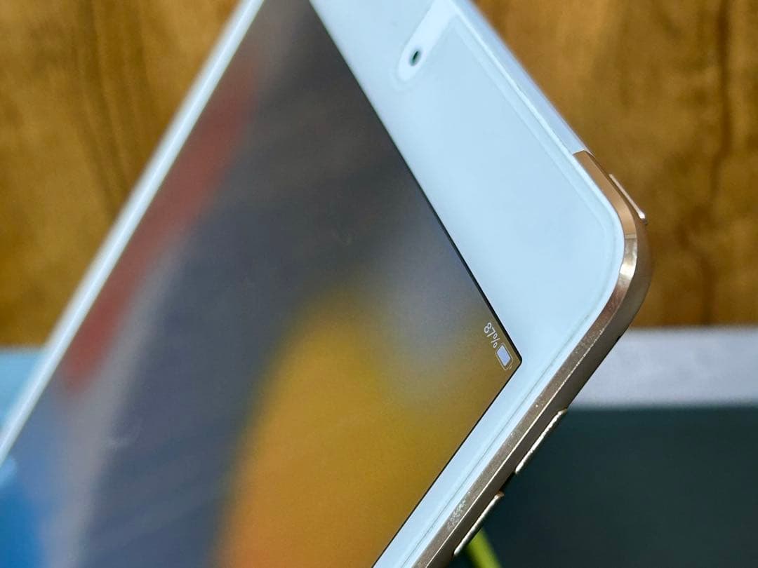 【フウタン】 iPad mini 4 Wi-Fi Cellular