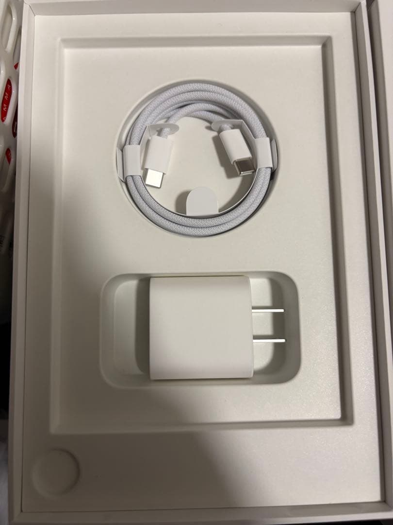 Apple iPad mini 8.3インチ 7世代 256GB