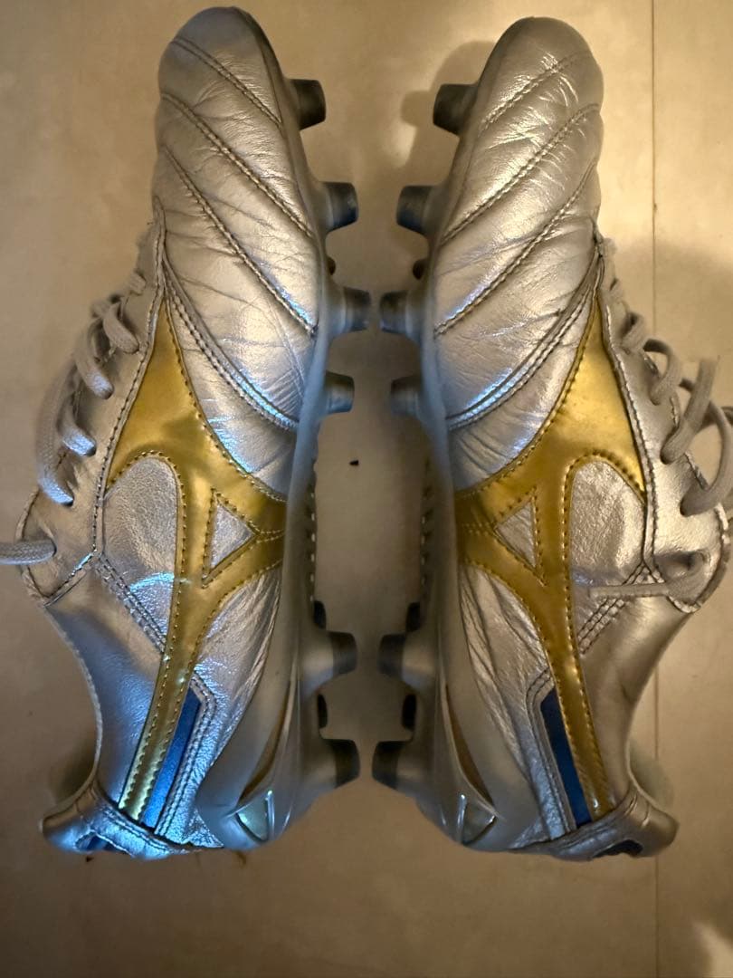 モレリア DNA JAPAN