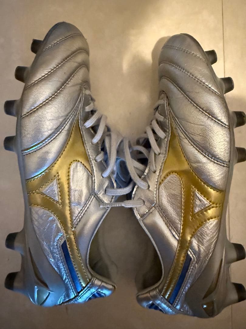 モレリア DNA JAPAN