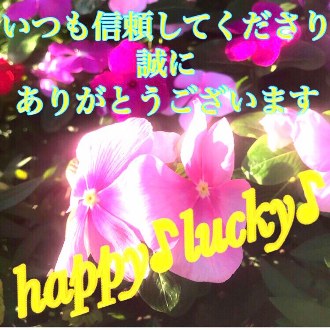 秘符(n.♡)病気　難病　長病　精神疾患　悪霊退散　護符　霊符　お守り