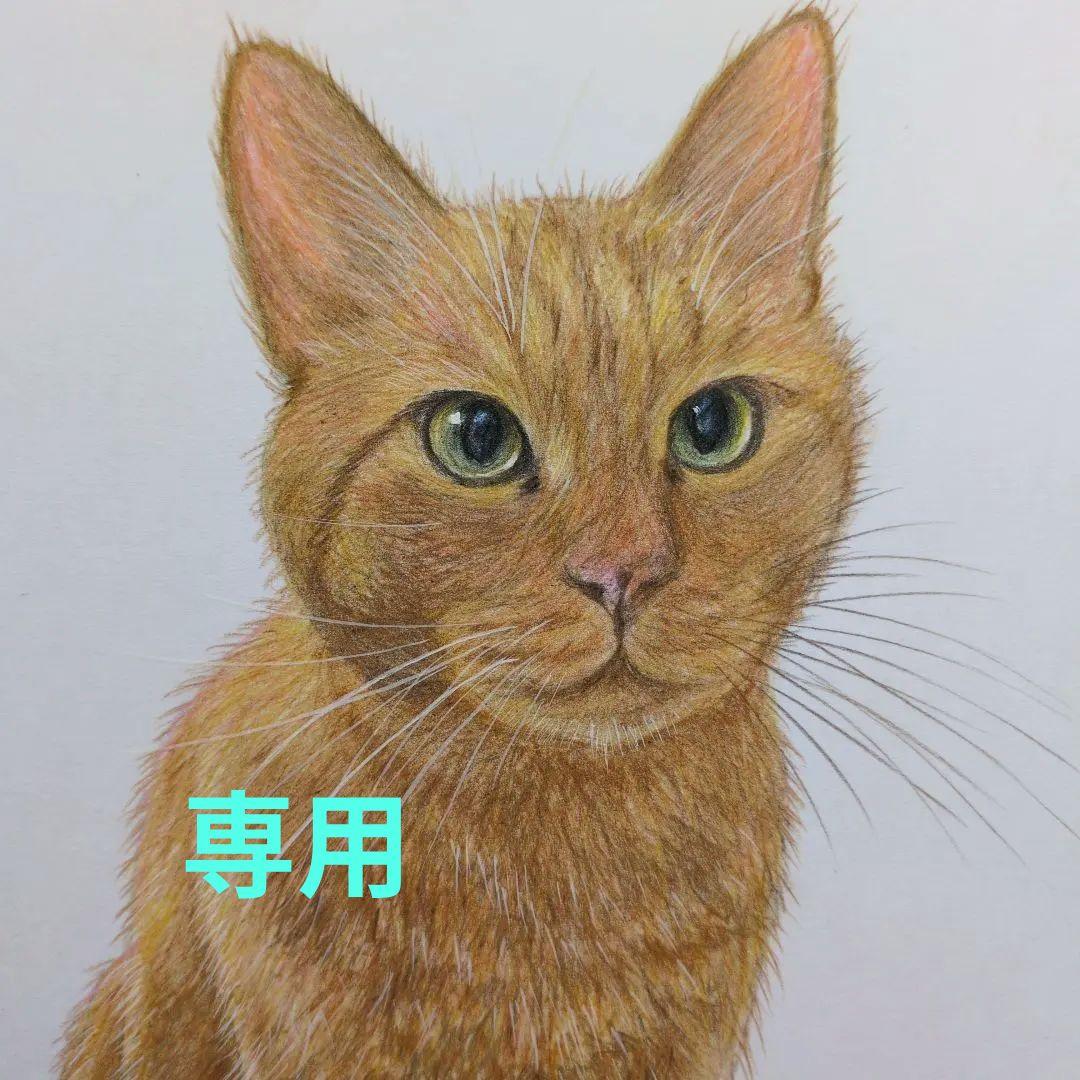 ウニ郎です♪　色鉛筆画 A5 犬・猫♡４枚