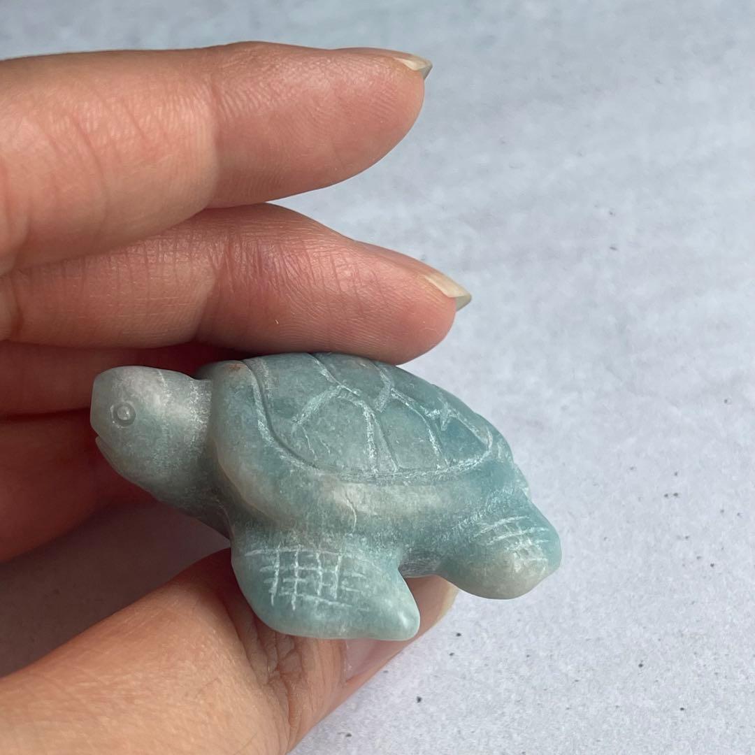 トロレアイト 亀 タートル