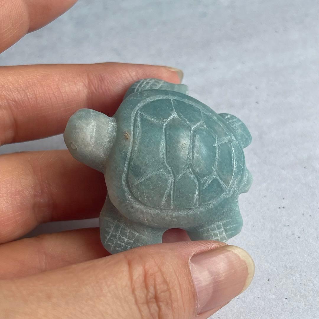 トロレアイト 亀 タートル