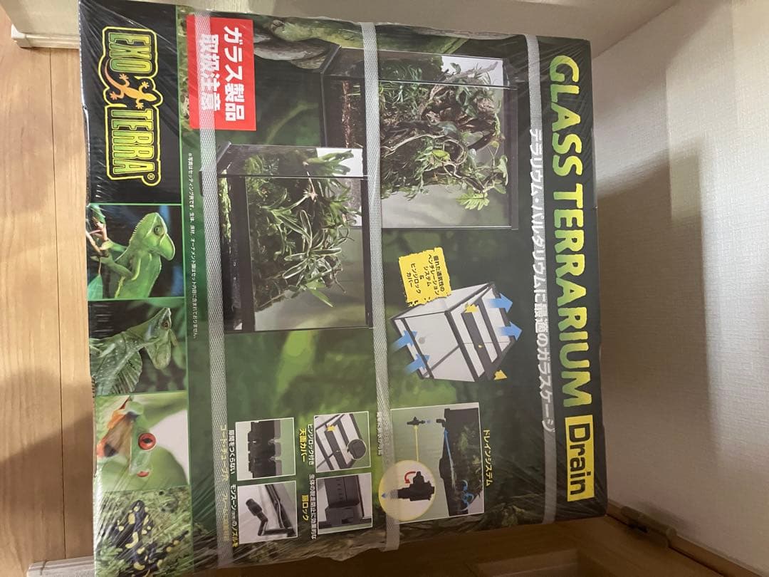 エキゾテラ ガラステラリウム Drain 4545