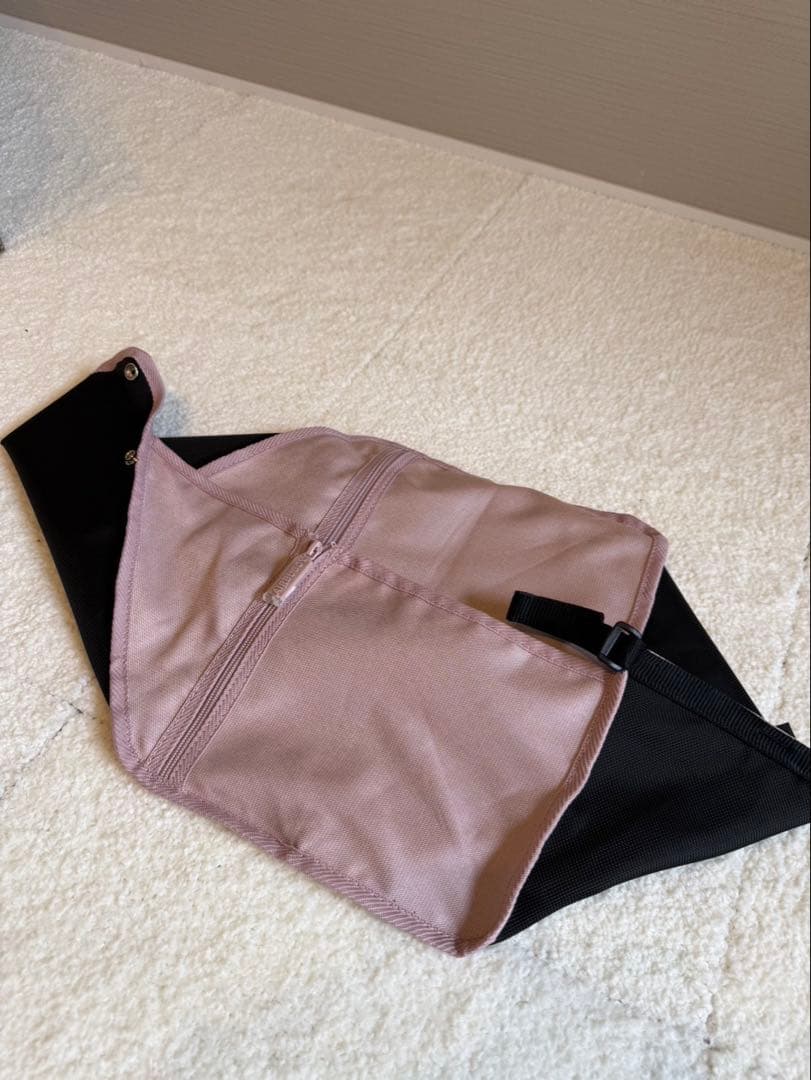 【美品】AIRBUGGY ドーム3 ラージサイズ ペットカート　別売品5点付