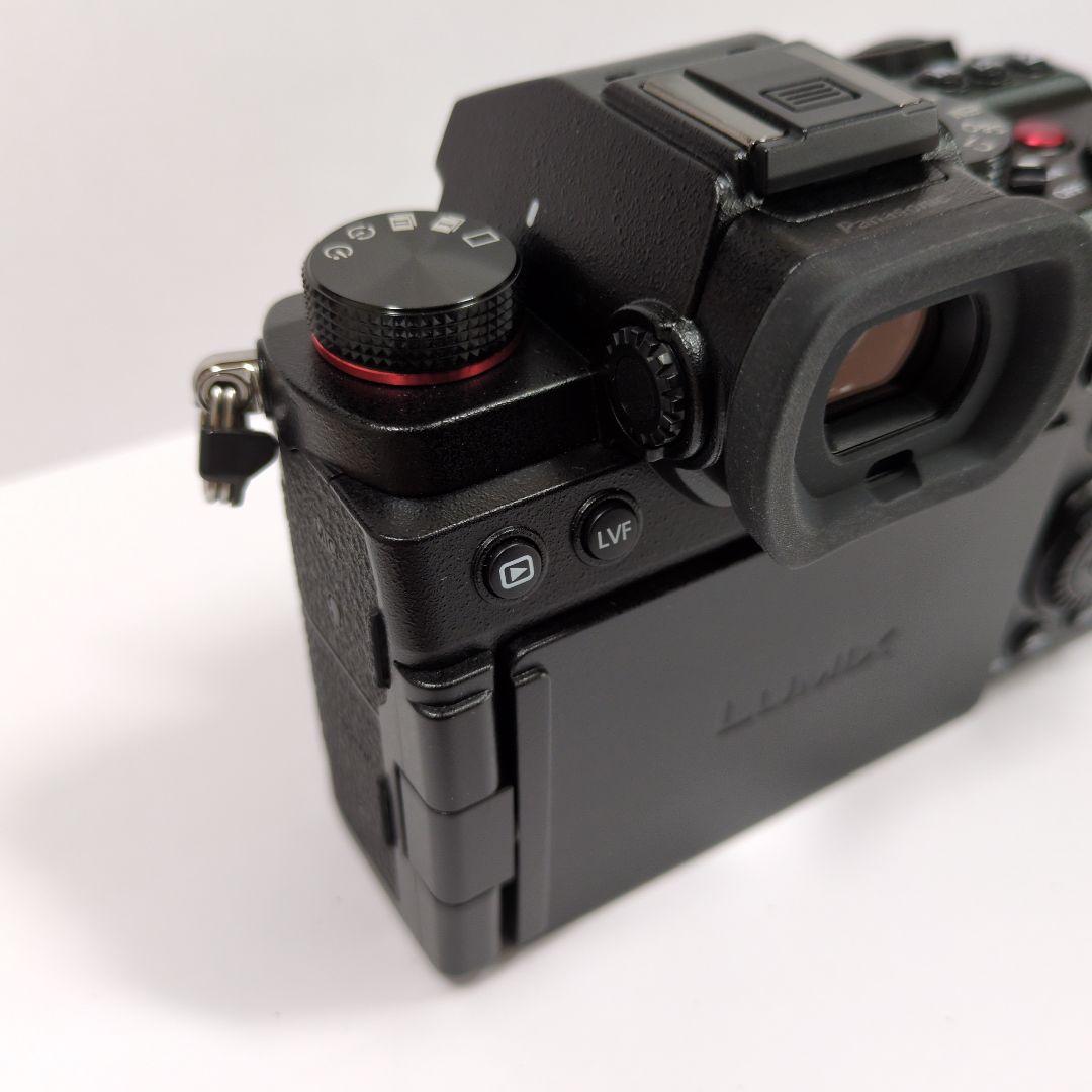 【美品】LUMIX DC-S5 ボディ