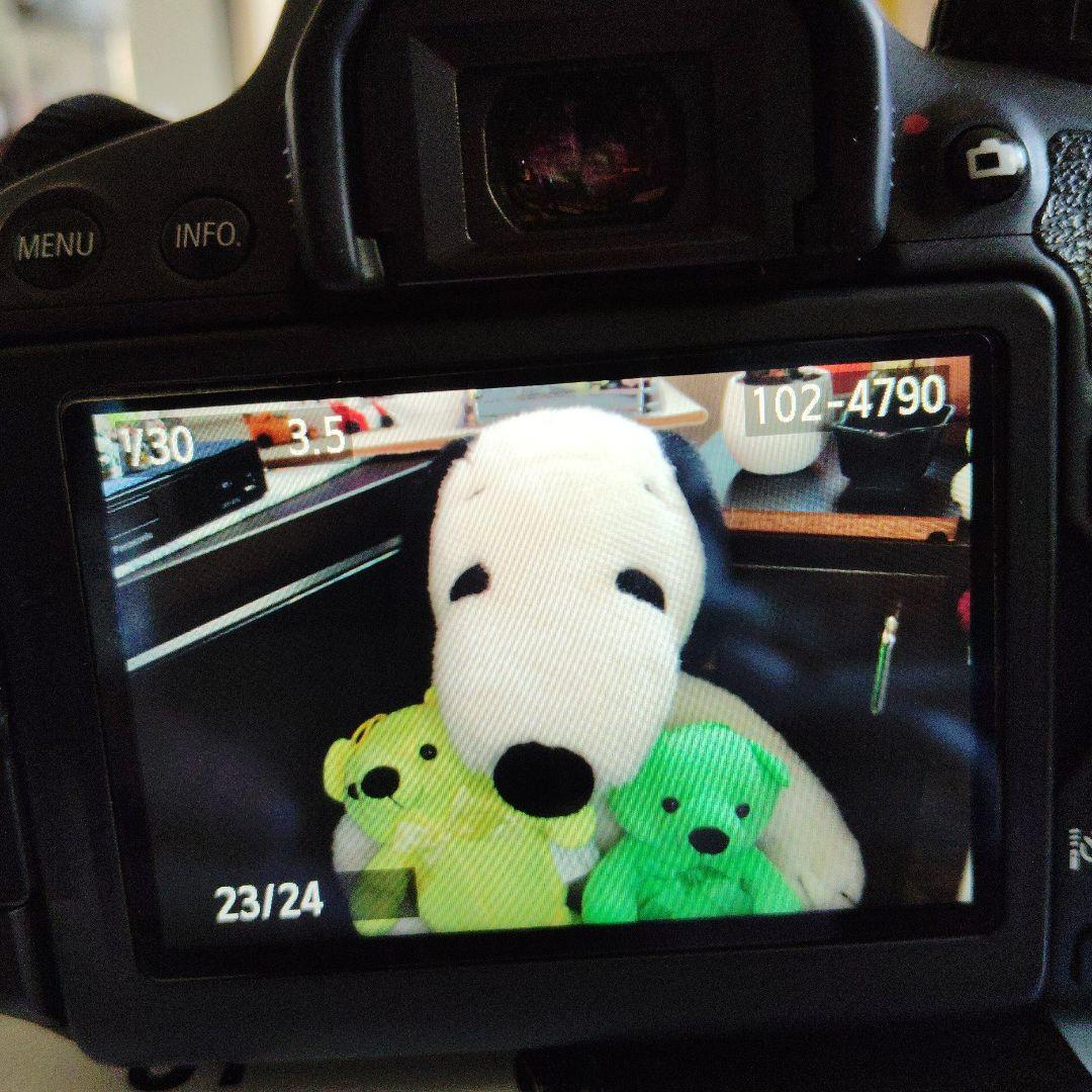 Canon EOS Kiss X6i デジタル一眼レフ