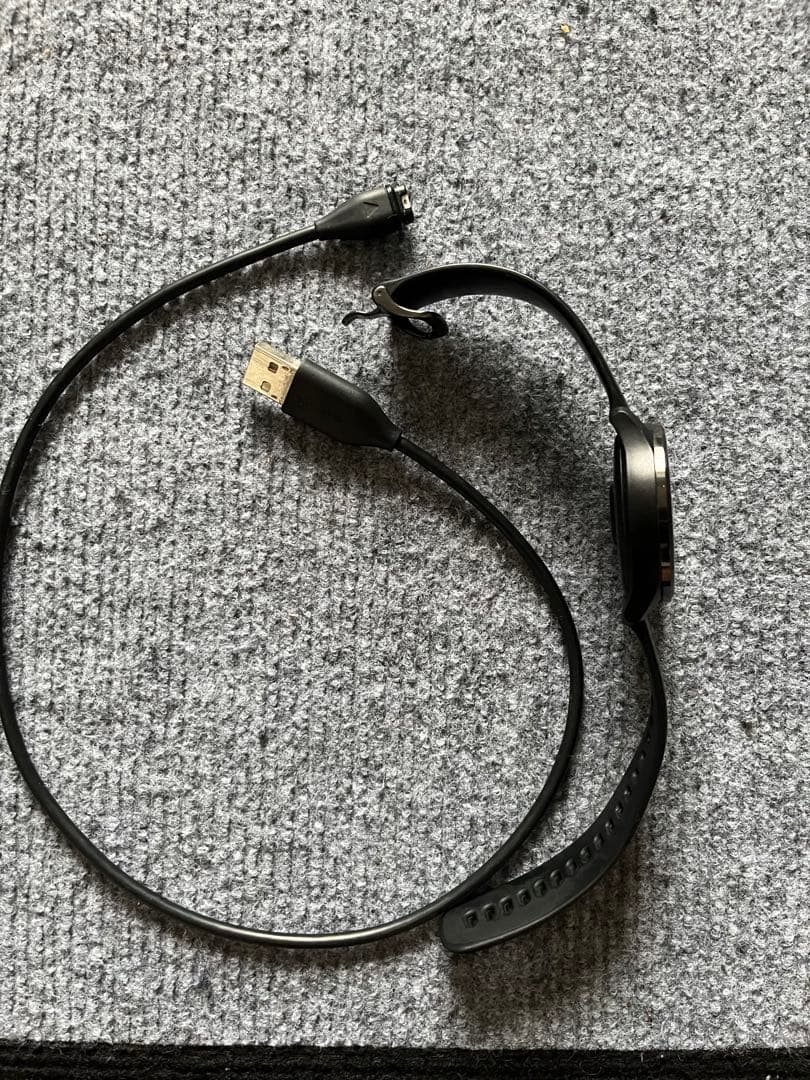 こ*ろ様 GARMIN VENU （ガーミン）ブラック