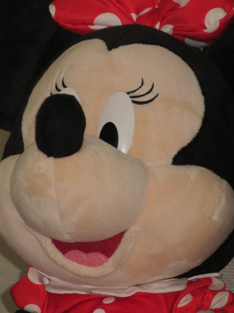 Canon PowerShot SX710 HS 動作確認済み