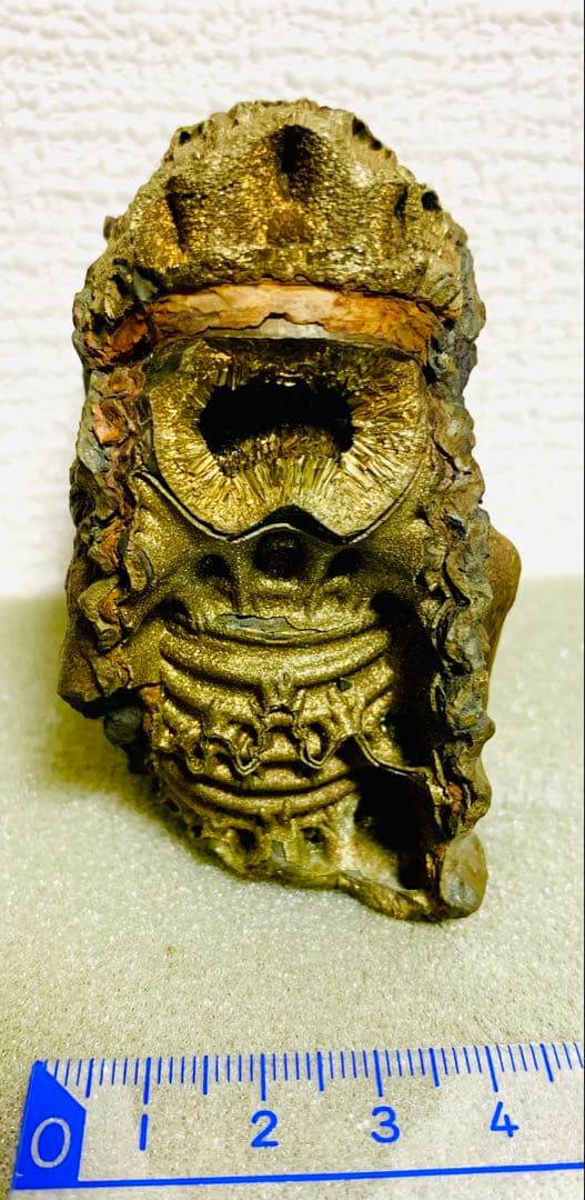 黄鉄鉱化アンモナイト 化石 大型