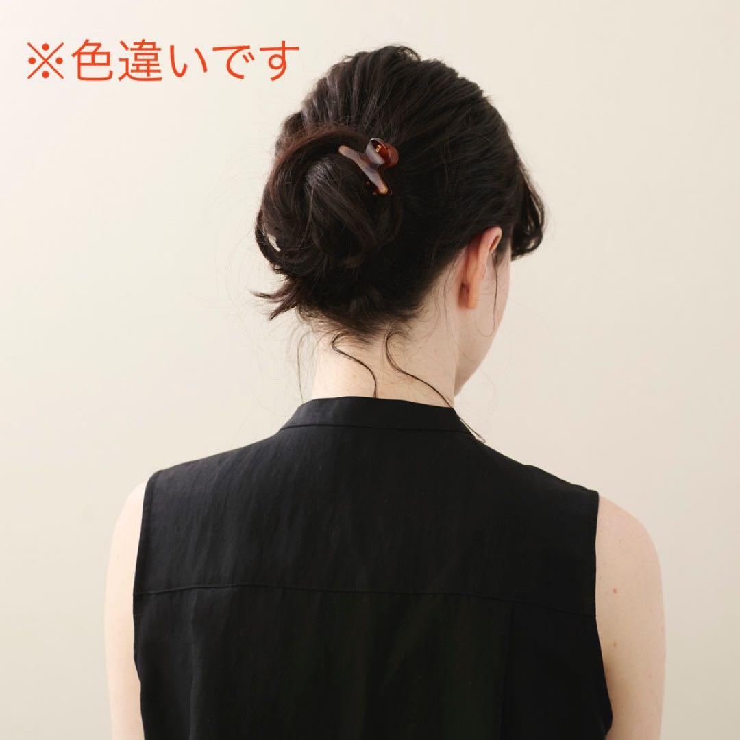 【新品·未使用】ALEXANDRE DE PARIS S クリップ