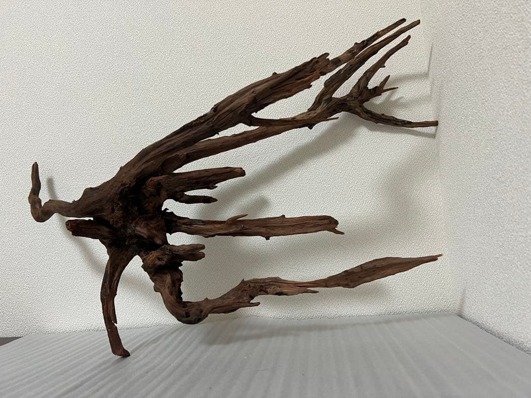 HX-083 流木　ホーンウッド　マシンガンウッド　アクアリウム　ブランチウッド