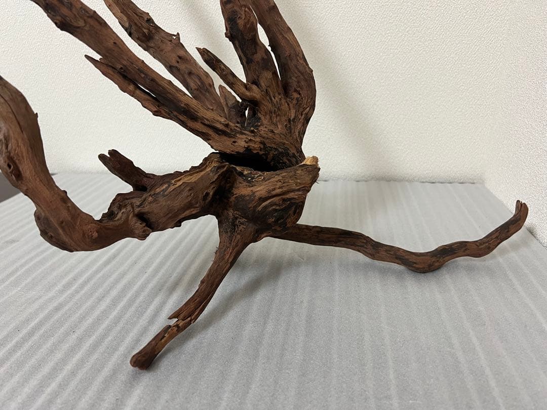 HX-083 流木　ホーンウッド　マシンガンウッド　アクアリウム　ブランチウッド