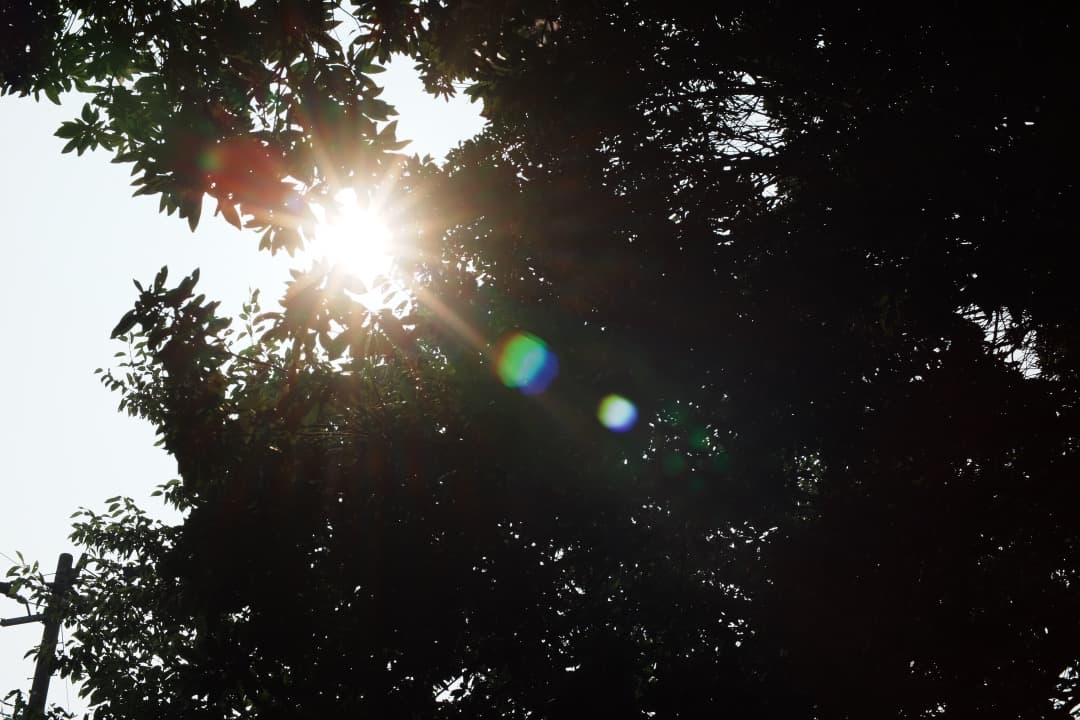 【極美品】動作◎ ニコン　Ai Nikkor 50mm F1.4 801