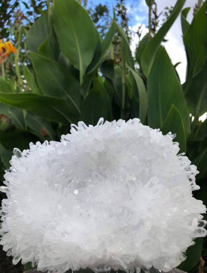 ✳ ❤️1.38kg 透明感拔群　高品質レムリアン の様な菊花水晶　クラスター