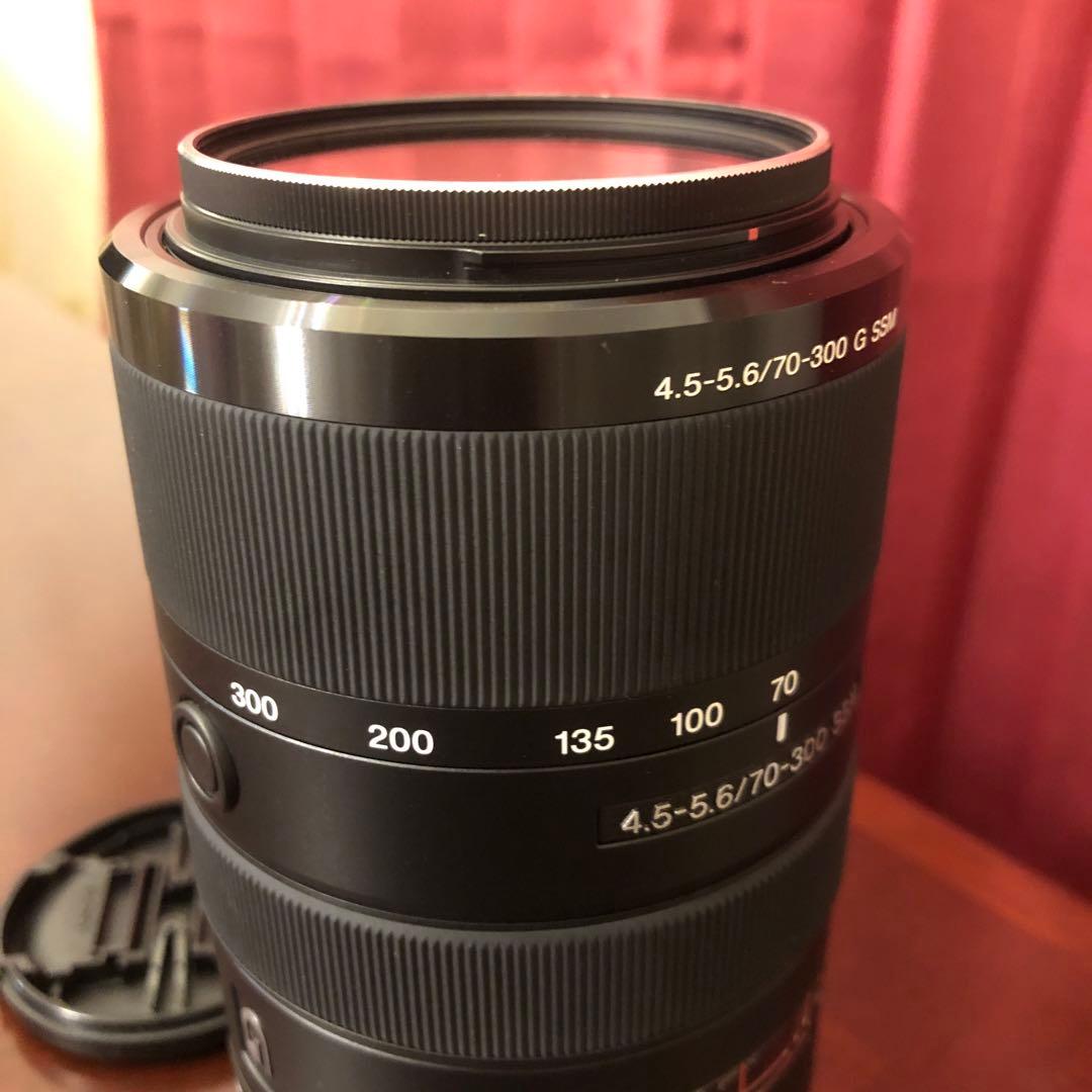 Sony 70-300mm G SSM レンズ