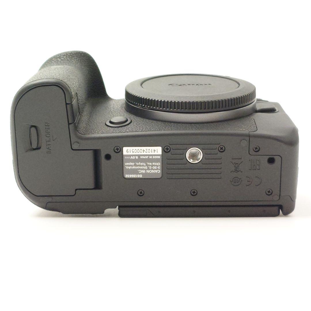 【極美品】Canon EOS R6 ボディ　シャッター数10,004回！