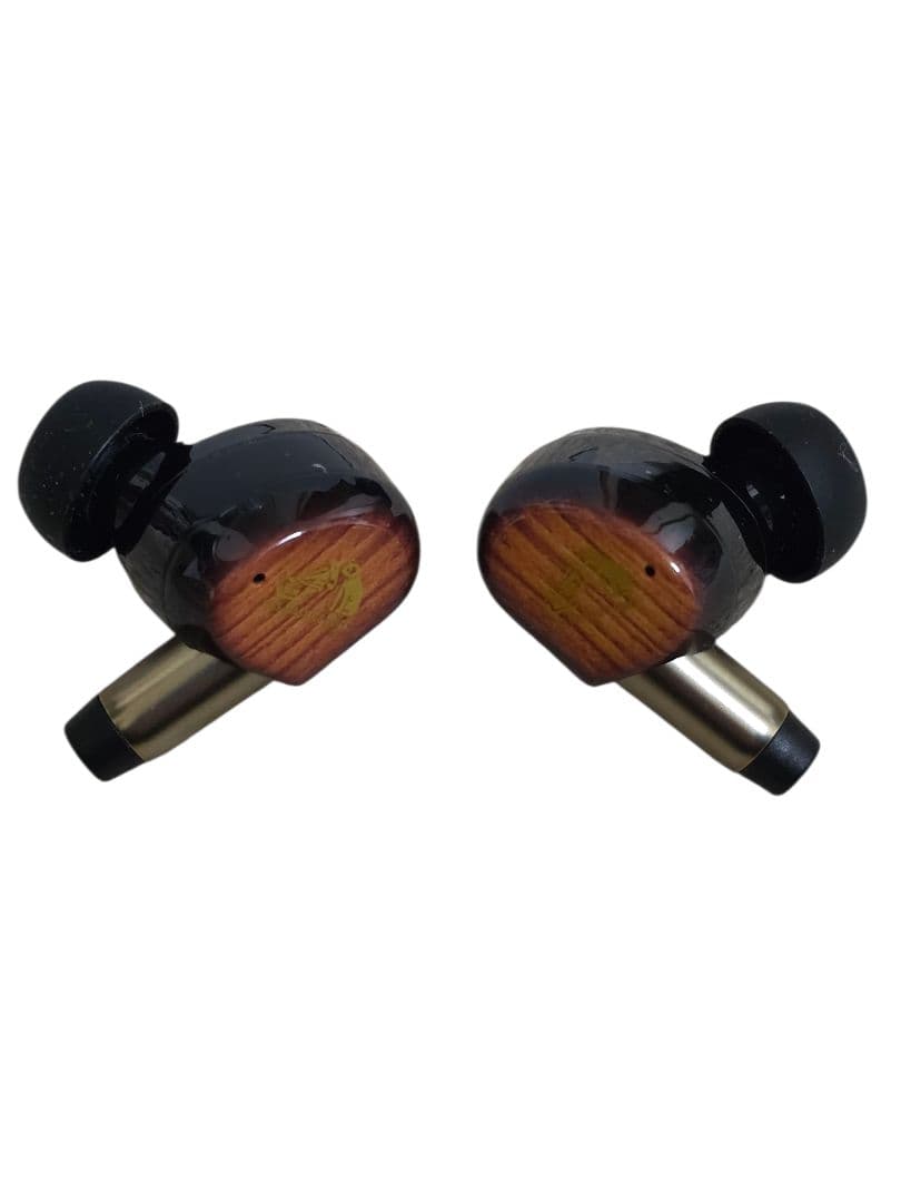 【美品】Victor WOOD master HA-FW5000T