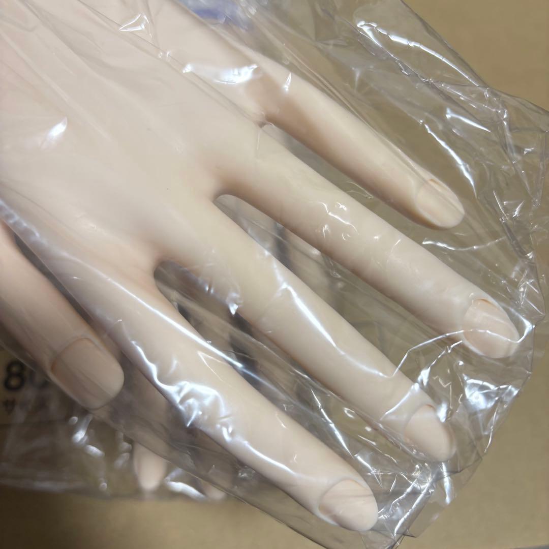 JNEC認定モデルハンド 両手セット 箱付き チップ付き