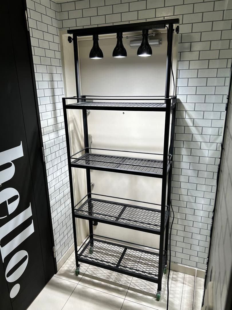 植物棚　アガベ　ライトレールキット　ハデス　シーザー