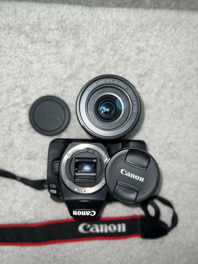 Canon EOS 90D + レンズ +バッグセット Canon 90D