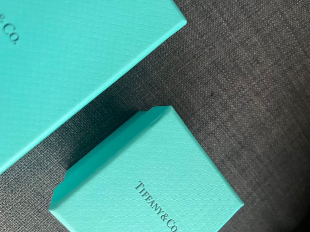 Tiffany & Co. アクセサリーケース 2点セット