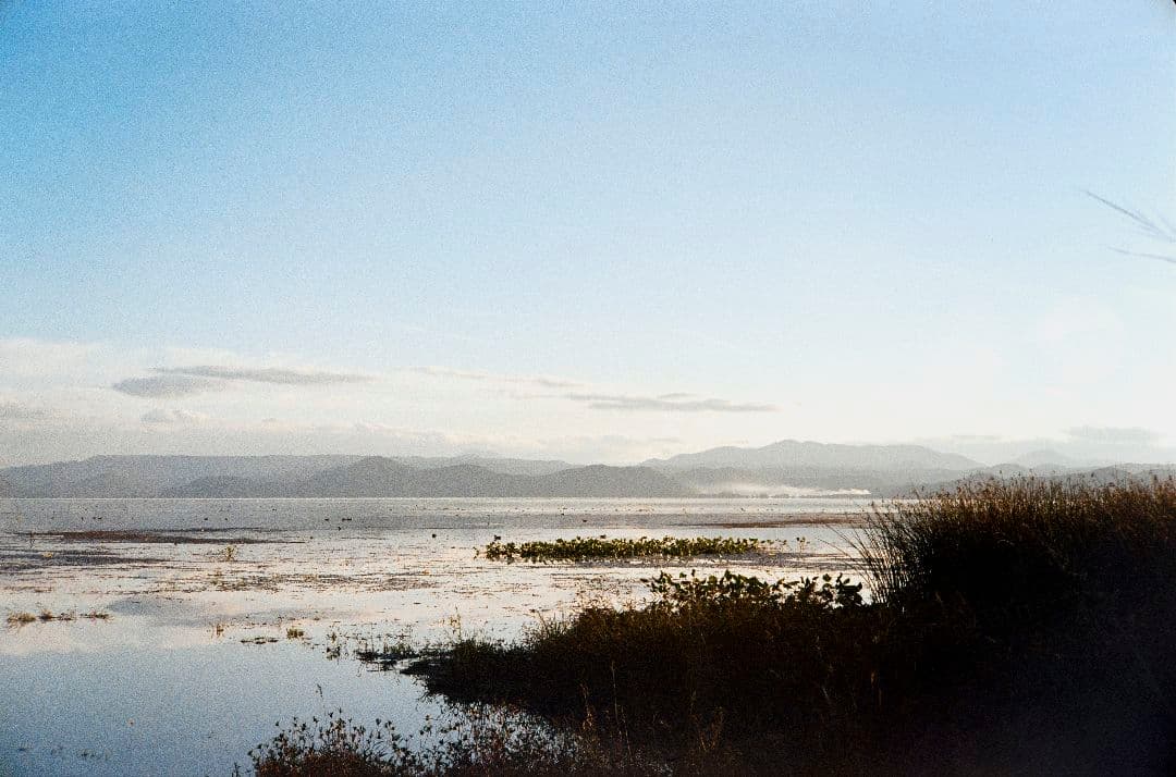 フィルムカメラ YASHICA ELECTRO 35 GL