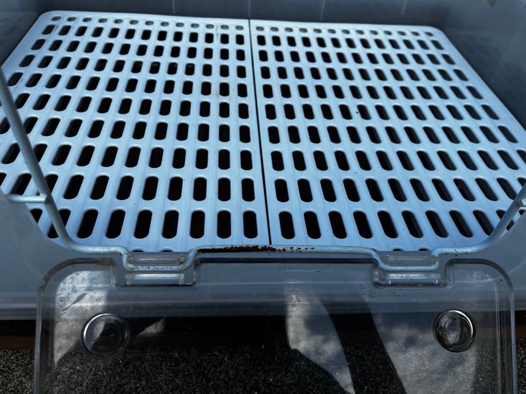 うさぎ　飼育セット　12点まとめ売り