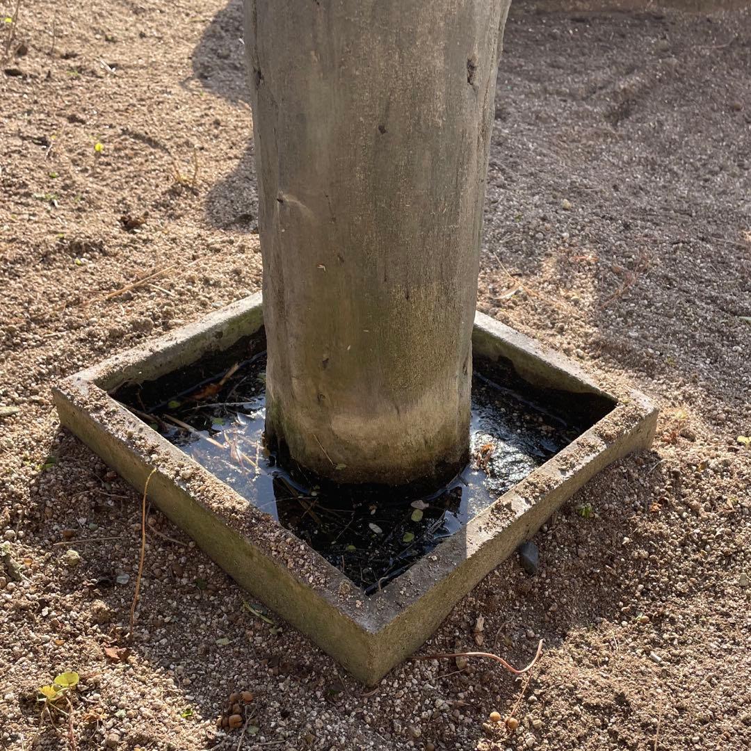 盆栽棚 [脚③棚板②] 【引き取り限定】野草 ガーデニング 庭園 日本庭園