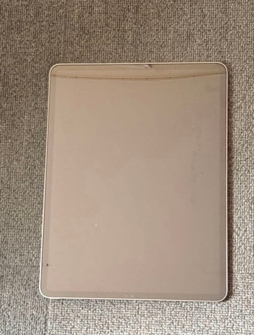 Apple iPad Pro 第3 512GB