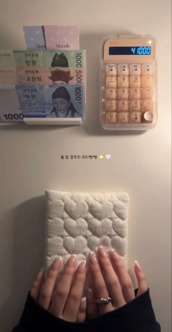 1点のみ 韓国 A6 バインダー 現金 貯金 リフィル