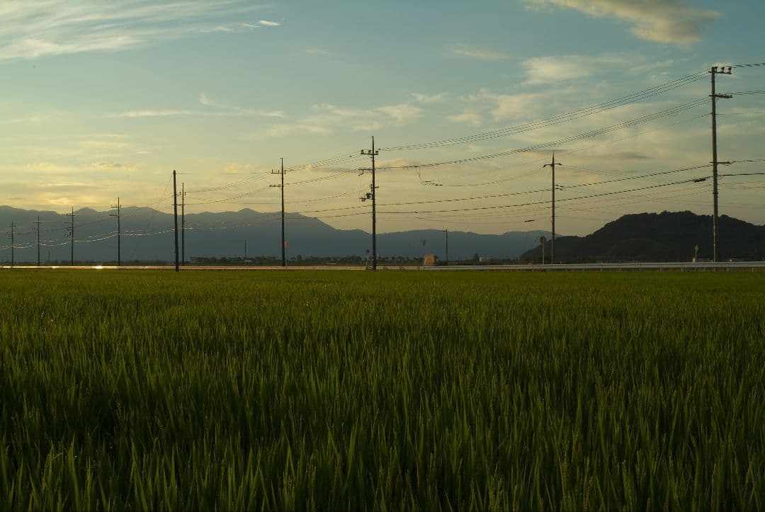 【レア】Tokina AT-X PRO 35mm F2.8 DX Macro