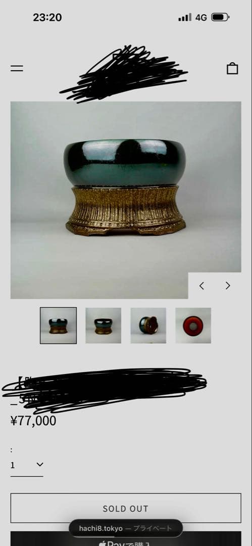 エンセファラルトスホリダスドワーフ塊根 観葉植物塊根14センチ高級鉢本日限定価格