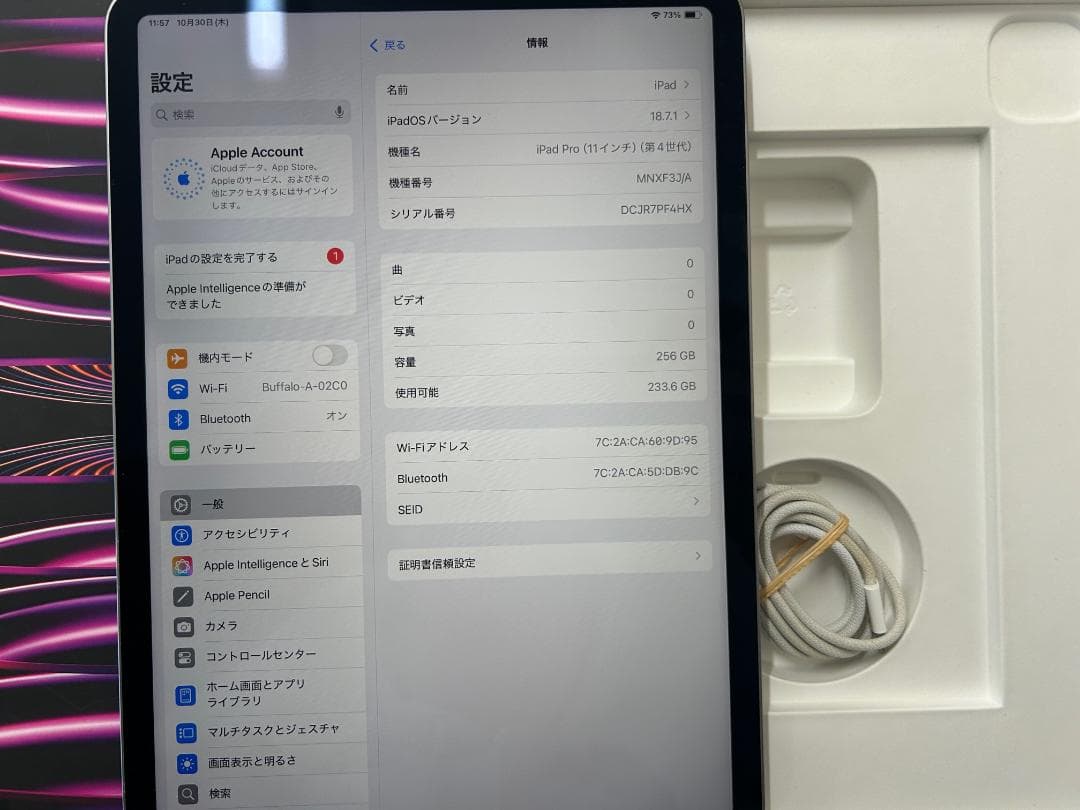 Apple iPad Pro (11インチ, 第4世代) 256GB