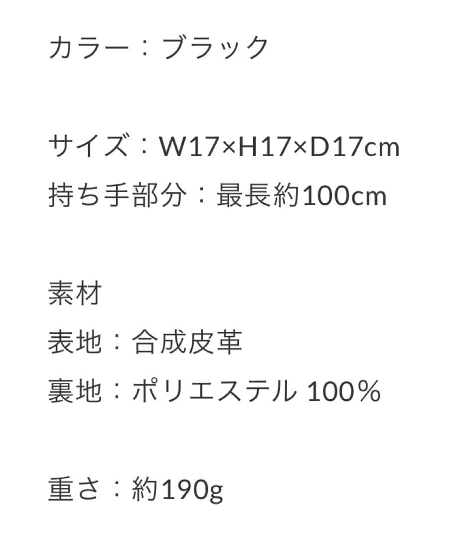 WCJ☆ソフトレザー巾着　ブラック 若槻千夏 完売品