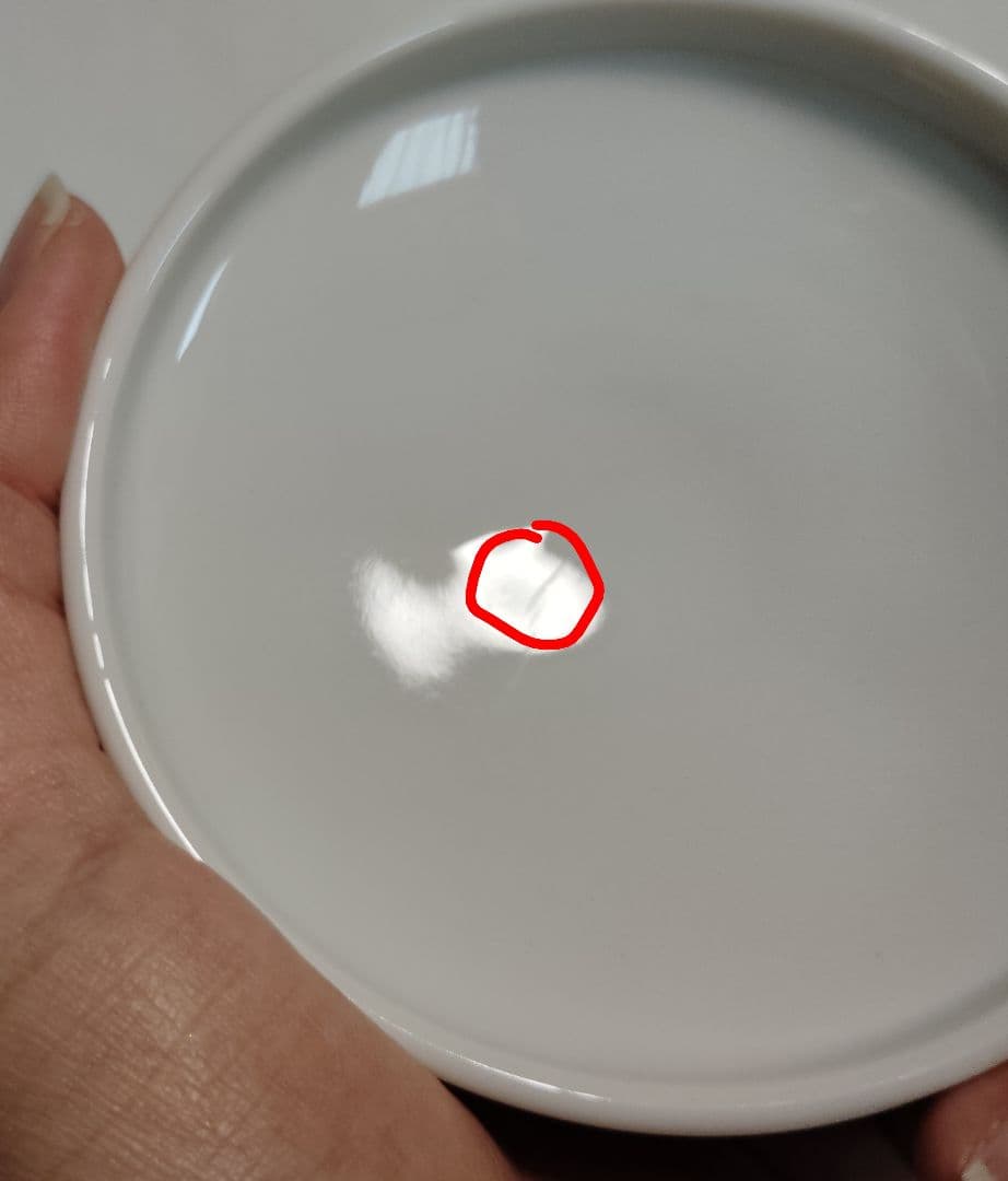 未使用　有田焼　南山窯　絵変わり　蓋付き碗揃　蒸し碗　　5客　茶碗蒸し　色絵