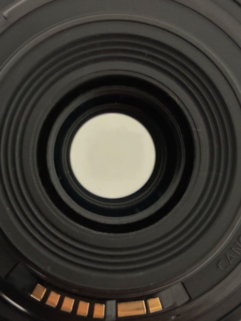 ⭐️極美品⭐️Canon EF-S 55-250mm STM レンズ フード付