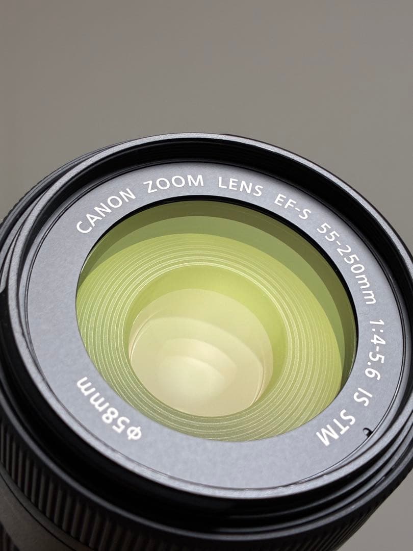 ⭐️極美品⭐️Canon EF-S 55-250mm STM レンズ フード付