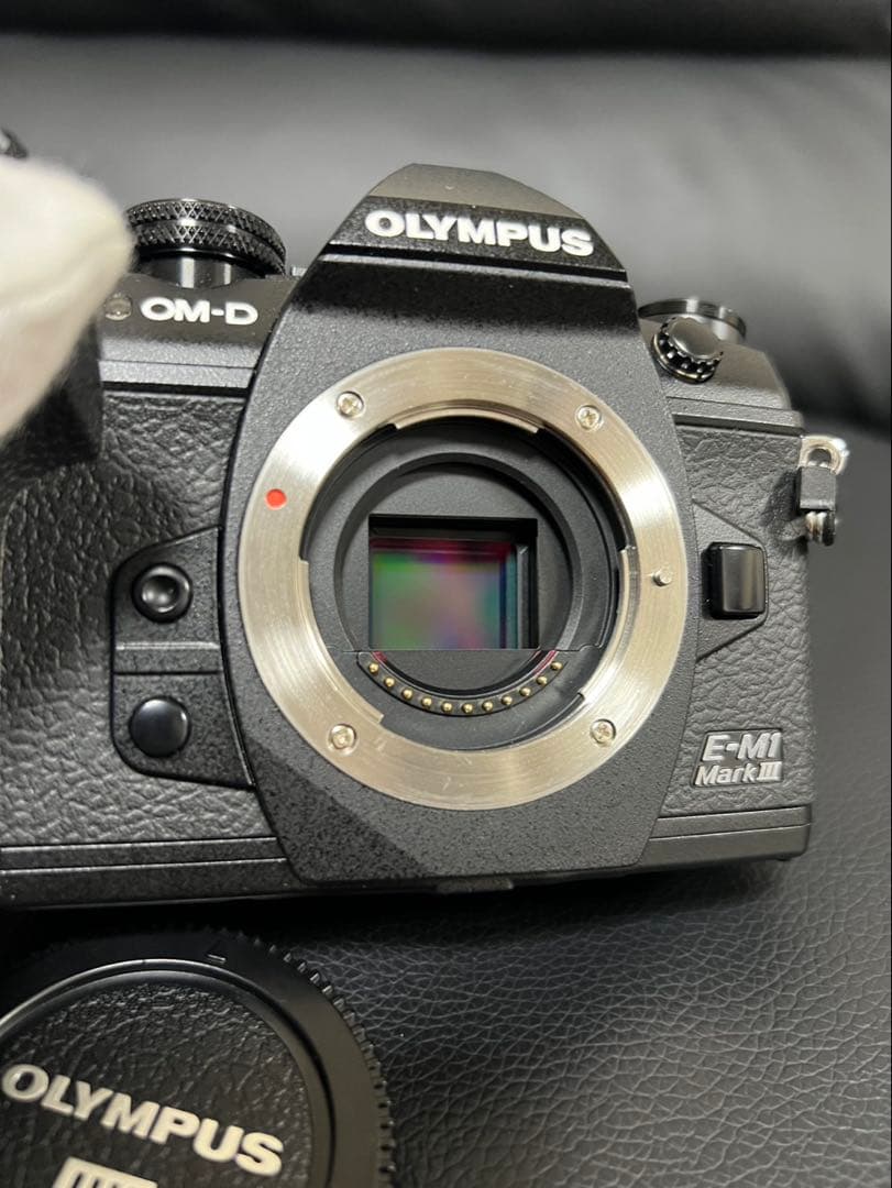 【美品】OLYMPUS OM-D E-M1 Mark III本体 RRS